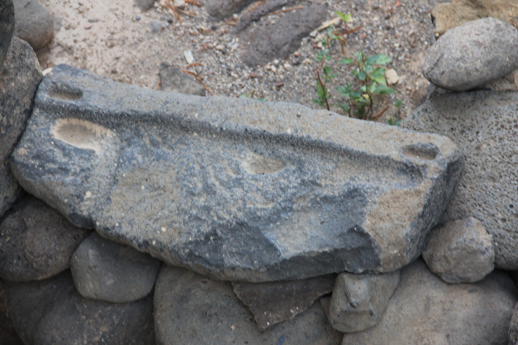 Capharnaum 72